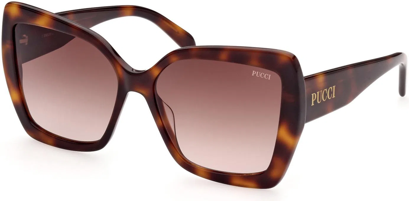 Emilio Pucci 0176 Sunglasses - view 2